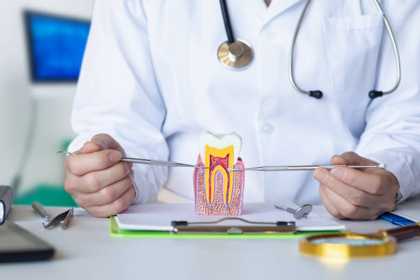 Best Urgent Care for Lost Fillings or Crowns in Bridgeport, PA